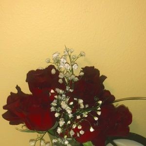 Meet your Posher, Avery